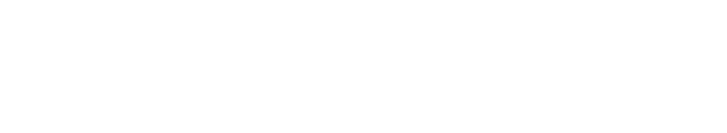 logo light